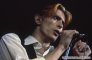 David Bowie - заказ артиста